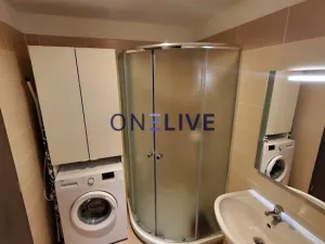 Pronájem bytu 1+kk, Plzeň, Na Chmelnicích, 35 m2