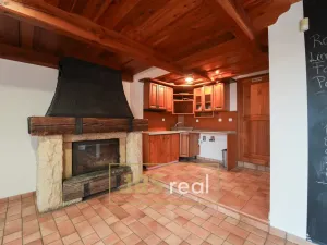 Prodej - jiné, Milotice, 321 m2