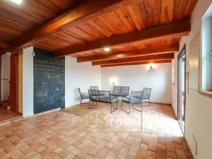 Prodej - jiné, Milotice, 321 m2