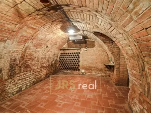 Prodej - jiné, Milotice, 321 m2