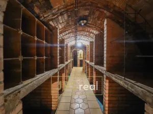 Prodej ubytování, Milotice, 321 m2