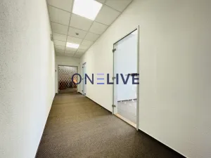 Pronájem kanceláře, Plzeň, náměstí T. G. Masaryka, 365 m2