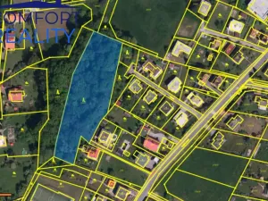 Prodej lesa, Havířov - Životice, Olšová, 5996 m2