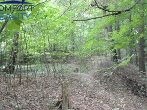 Prodej lesa, Havířov - Životice, Olšová, 5996 m2