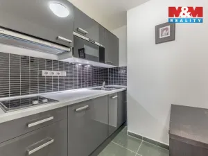 Prodej bytu 1+kk, Praha - Žižkov, Přemyslovská, 38 m2