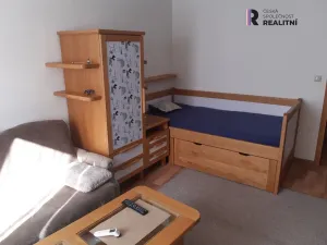 Pronájem bytu 1+1, Šumperk, Evaldova, 45 m2