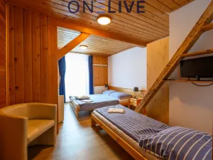 Prodej apartmánu, Železná Ruda - Hojsova Stráž, 500 m2