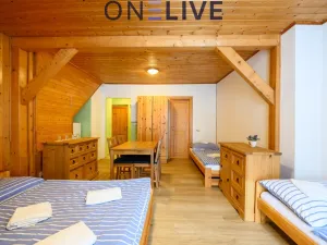 Prodej apartmánu, Železná Ruda - Hojsova Stráž, 500 m2