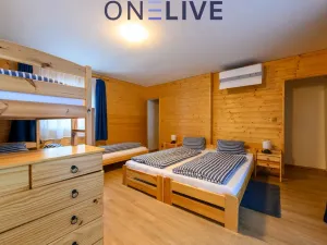 Prodej apartmánu, Železná Ruda - Hojsova Stráž, 500 m2