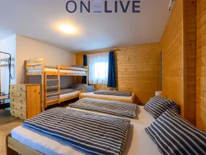 Prodej apartmánu, Železná Ruda - Hojsova Stráž, 500 m2