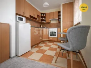 Pronájem bytu 1+kk, Ostrava - Bělský Les, 38 m2