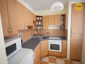 Pronájem bytu 1+kk, Ostrava - Bělský Les, 38 m2