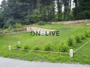 Prodej apartmánu, Přimda, Pod Hradem, 450 m2