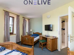 Prodej apartmánu, Přimda, Pod Hradem, 450 m2