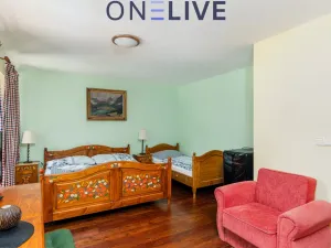 Prodej apartmánu, Přimda, Pod Hradem, 450 m2