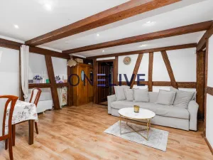 Prodej rodinného domu, Rozvadov - Svatá Kateřina, 650 m2