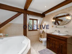 Prodej rodinného domu, Rozvadov - Svatá Kateřina, 650 m2