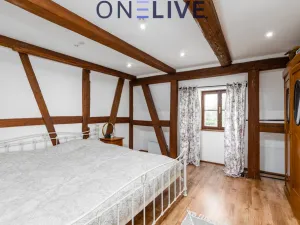 Prodej rodinného domu, Rozvadov - Svatá Kateřina, 650 m2