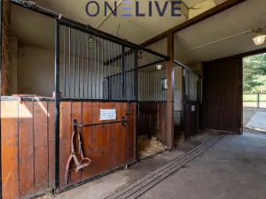 Prodej rodinného domu, Rozvadov - Svatá Kateřina, 650 m2