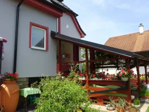 Prodej rodinného domu, Suchdol nad Lužnicí, Pražská, 300 m2