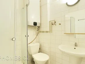 Pronájem bytu 1+kk, Praha - Nusle, U čtyř domů, 32 m2