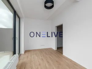 Pronájem bytu 3+kk, Plzeň, Železná, 59 m2