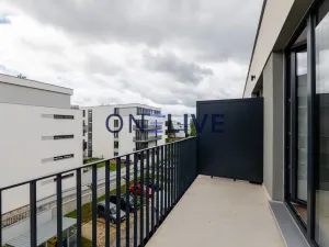 Pronájem bytu 3+kk, Plzeň, Železná, 59 m2