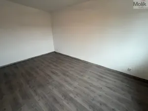 Prodej bytu 2+1, Most, Hutnická, 54 m2