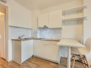 Prodej bytu 1+kk, Praha - Smíchov, Radlická, 25 m2
