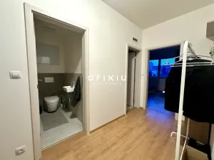 Pronájem bytu 1+kk, Brno - Ponava, Střední, 55 m2