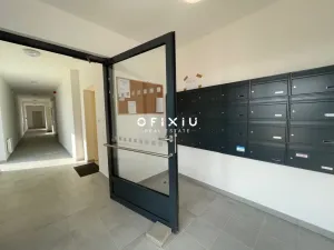 Pronájem bytu 1+kk, Brno - Ponava, Střední, 55 m2