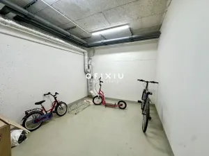 Pronájem bytu 1+kk, Brno - Ponava, Střední, 55 m2