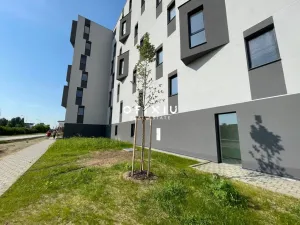 Pronájem bytu 1+kk, Brno - Ponava, Střední, 55 m2