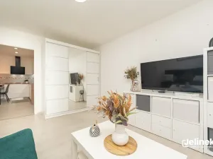 Prodej bytu 2+1, Bystré, Vrchlického, 50 m2