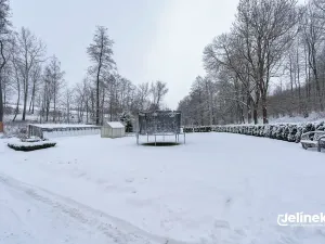 Prodej bytu 2+1, Bystré, Vrchlického, 50 m2