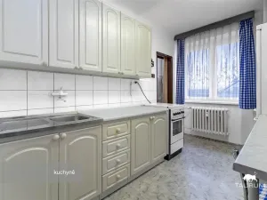 Prodej bytu 3+1, Plzeň - Východní Předměstí, U Prazdroje, 68 m2