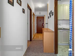 Prodej bytu 3+1, Plzeň - Východní Předměstí, U Prazdroje, 68 m2