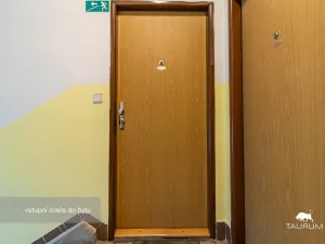 Prodej bytu 3+1, Plzeň - Východní Předměstí, U Prazdroje, 68 m2