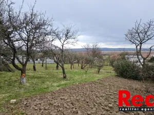 Prodej pozemku pro bydlení, Luleč, 923 m2