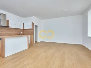 Pronájem bytu 3+kk, Strunkovice nad Blanicí, náměstí Bohumila Havlasy, 91 m2