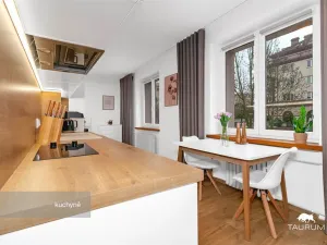 Prodej bytu 2+1, Plzeň - Východní Předměstí, Strnadova, 54 m2