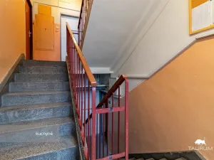 Prodej bytu 2+1, Plzeň - Východní Předměstí, Strnadova, 54 m2