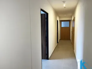 Pronájem komerčního pozemku, Prostějov, Wolkerova, 210 m2