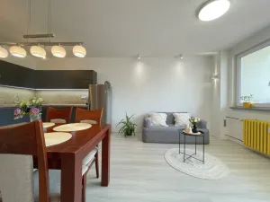 Prodej bytu 2+kk, Olomouc, Černá cesta, 58 m2