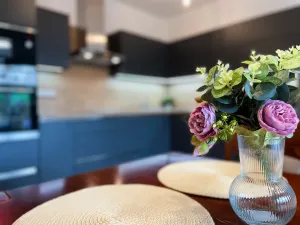 Prodej bytu 2+kk, Olomouc, Černá cesta, 58 m2