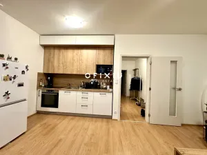 Pronájem bytu 2+kk, Brno - Ponava, Střední, 55 m2