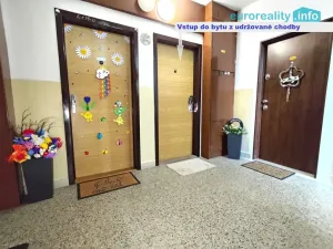 Prodej bytu 2+kk, Strakonice, U Zahrádek, 46 m2