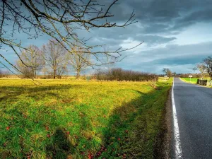 Prodej pozemku pro bydlení, Stádlec, 4550 m2