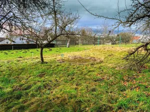 Prodej pozemku pro bydlení, Stádlec, 4550 m2