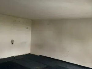 Prodej rodinného domu, Brodek u Prostějova, Havlíčkova, 102 m2